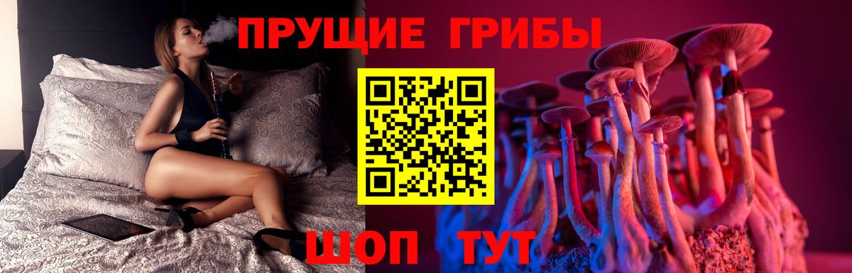 Псилоцибиновые грибы Psilocybine cubensis  Вход с VPN  Черногорск 